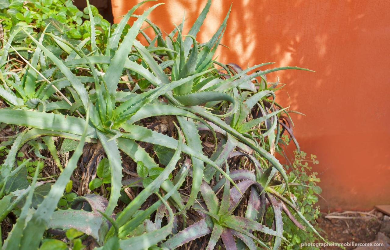 Le Mini Cottage Bastia  Exterior foto